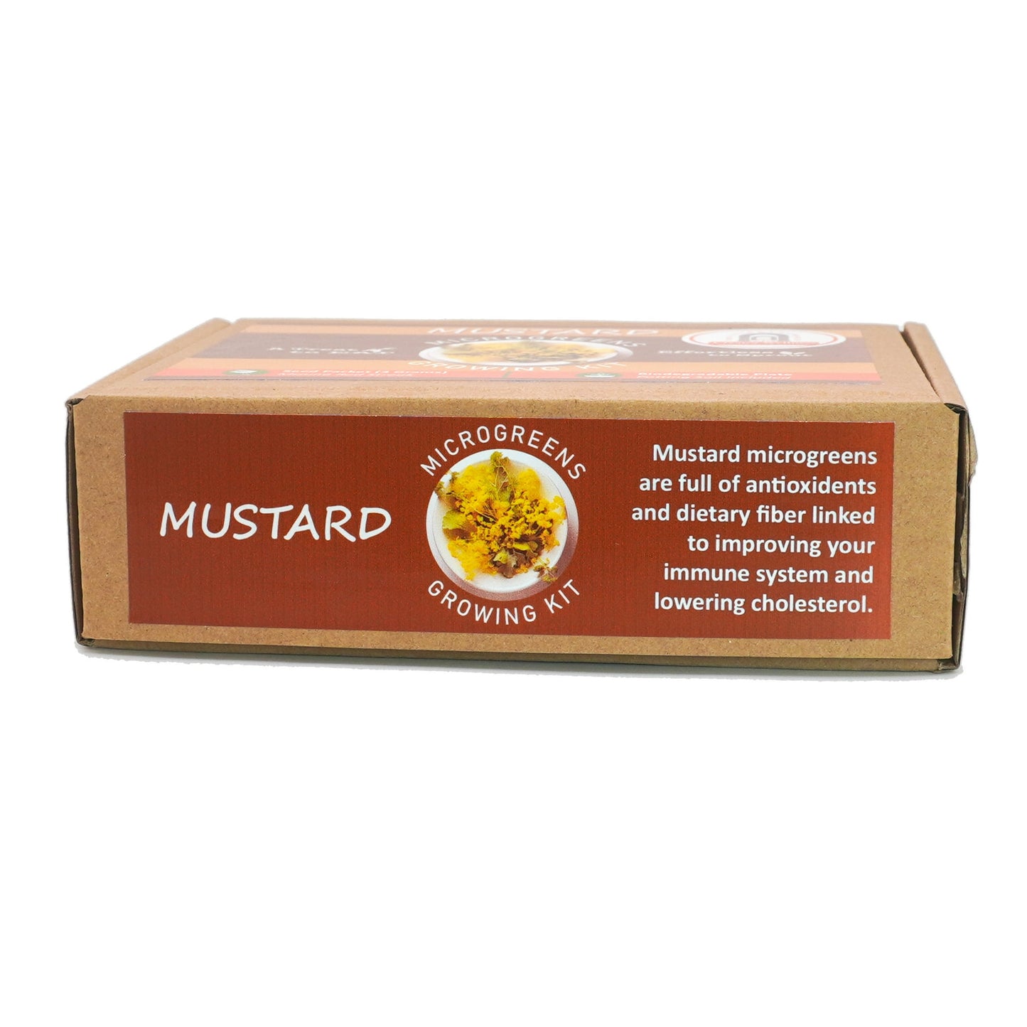 Mustard Microgreens Growing Kit by Creator Wellness, Easy Indoor Gardening