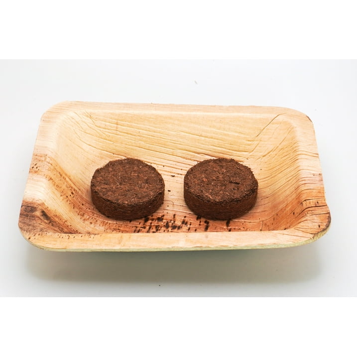 Radish Microgreen Growing Kit by Creator Wellness, Quick Harvest in 10 Days