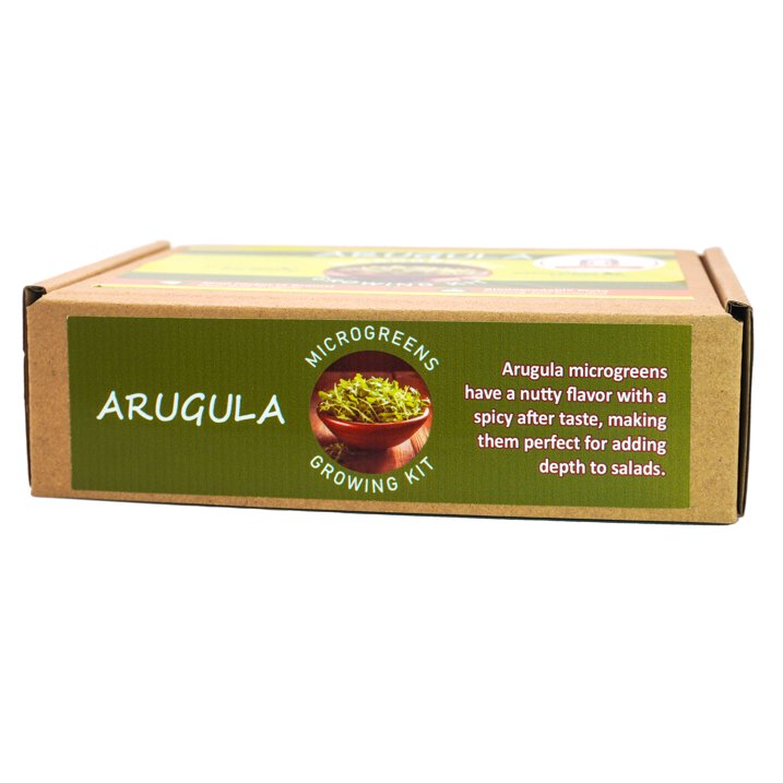 Arugula Microgreens Growing Kit by Creator Wellness, Spicy and Fresh Greens