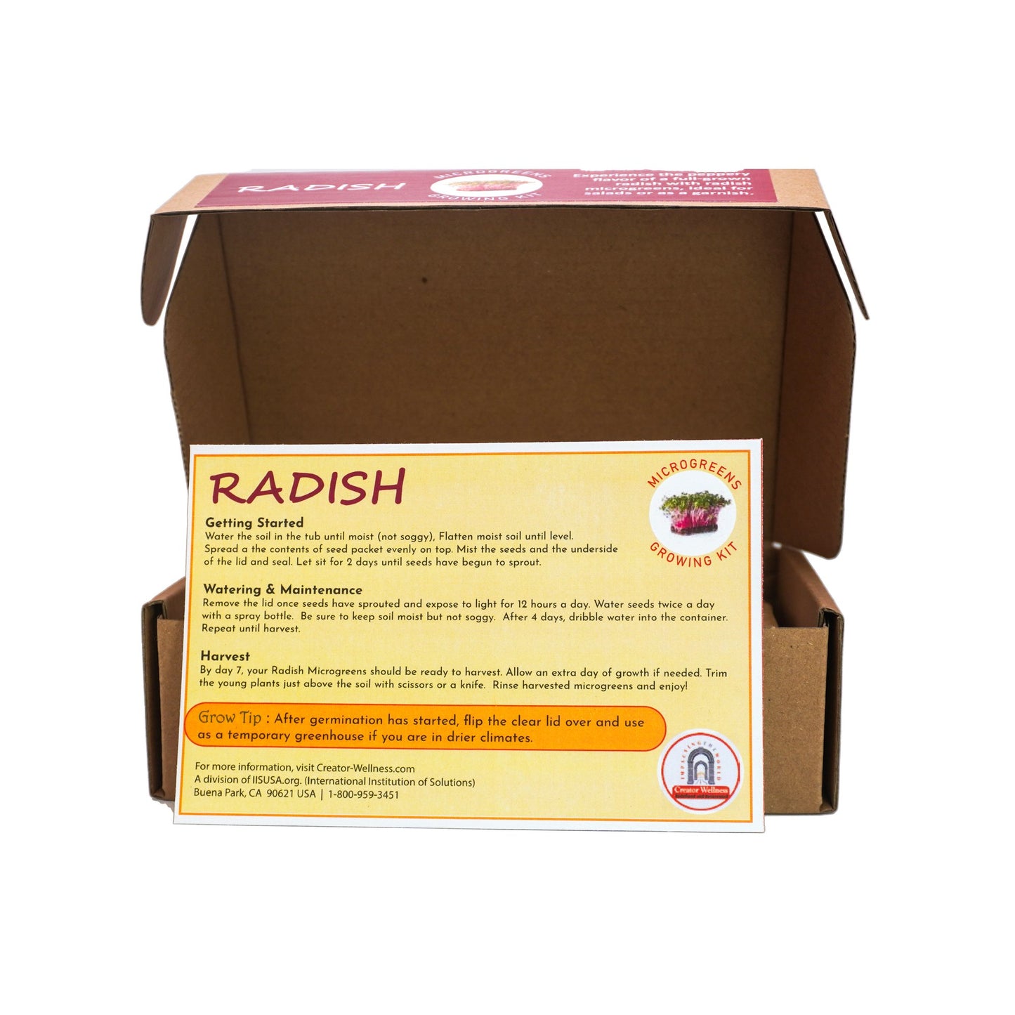 Radish Microgreen Growing Kit by Creator Wellness, Quick Harvest in 10 Days