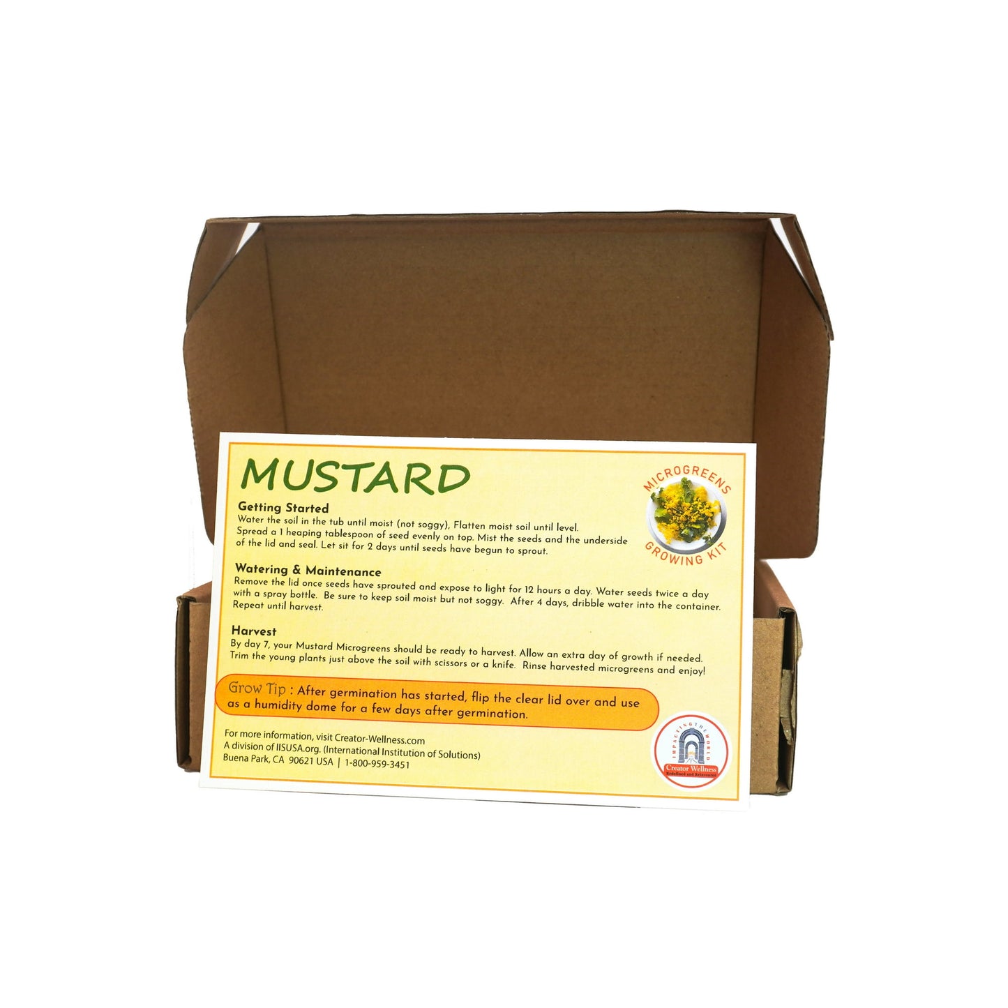 Mustard Microgreens Growing Kit by Creator Wellness, Easy Indoor Gardening