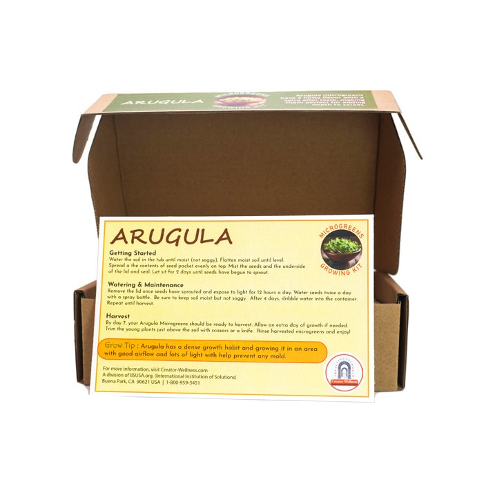 Arugula Microgreens Growing Kit by Creator Wellness, Spicy and Fresh Greens