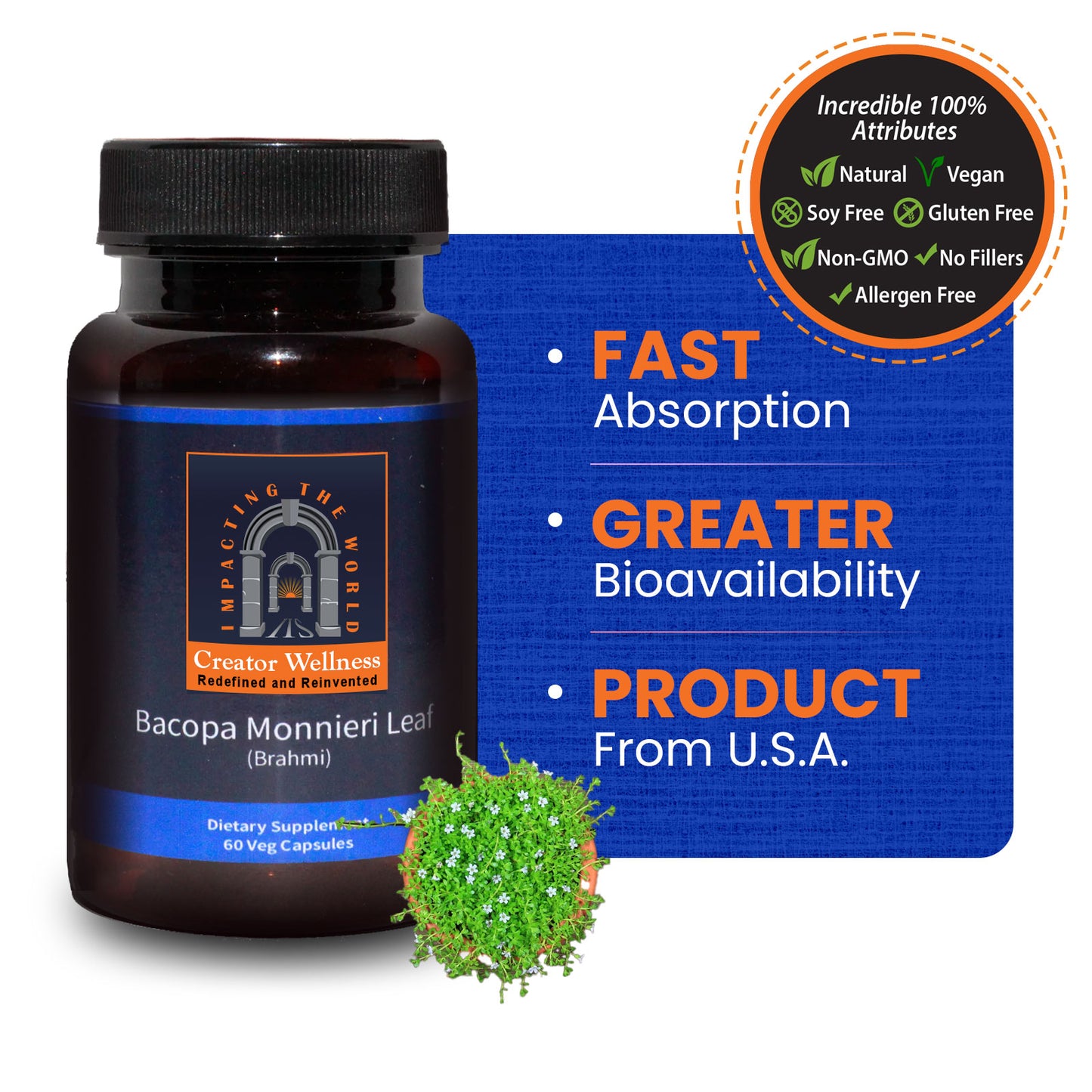 Bacopa Monnieri Leaf - Brahmi | 60 Veg Capsules