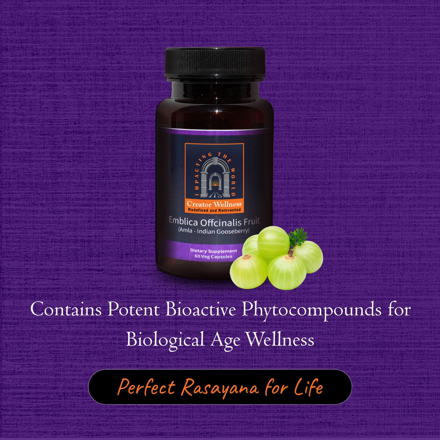 Amla Supplement | 225mg Indian Gooseberry Extract | 60 Caps