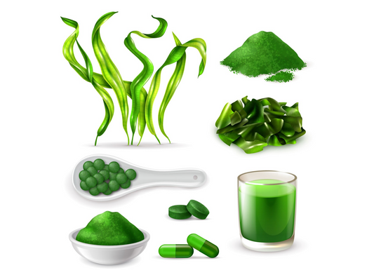 Benefits of Consuming Moringa and Spirulina Regularly