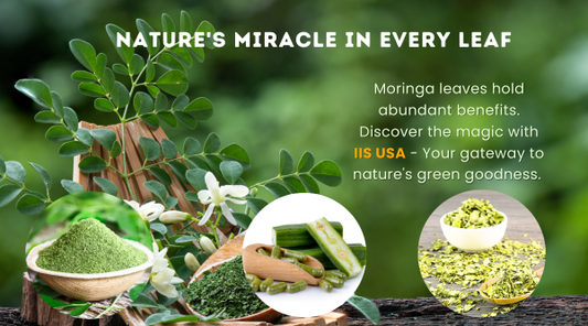 Moringa Leaves: A Green Powerhouse of Nutrition and Wellness