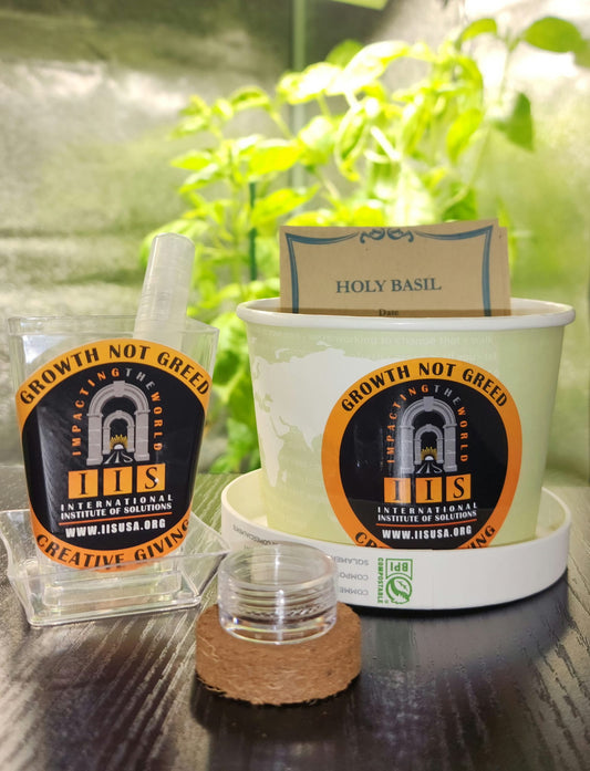 Tulsi: The Living Guardian of Health, Balance, and Home