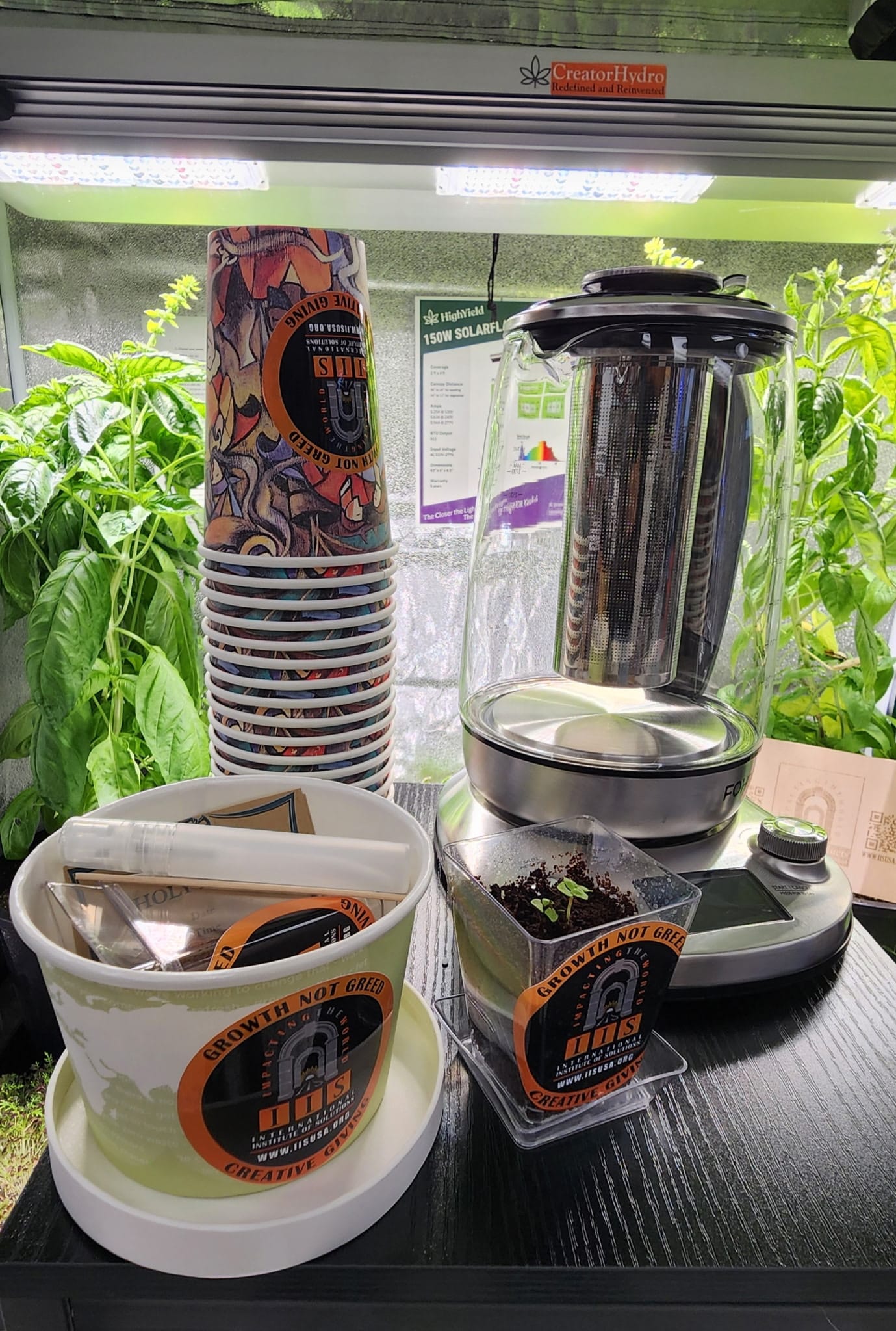 Tulsi (Holy Basil) Home-Grow Kit