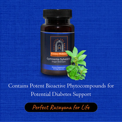 Gymnema sylvestre - Sugar Destroyer   |   225mg Extract   |   60 Capsules