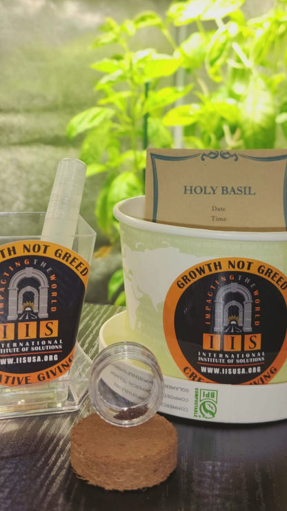 Tulsi (Holy Basil) Home-Grow Kit